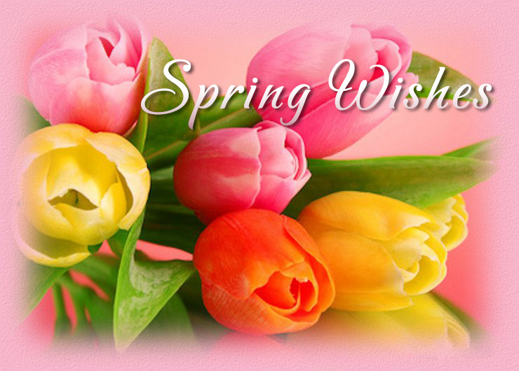 Spring Wishes