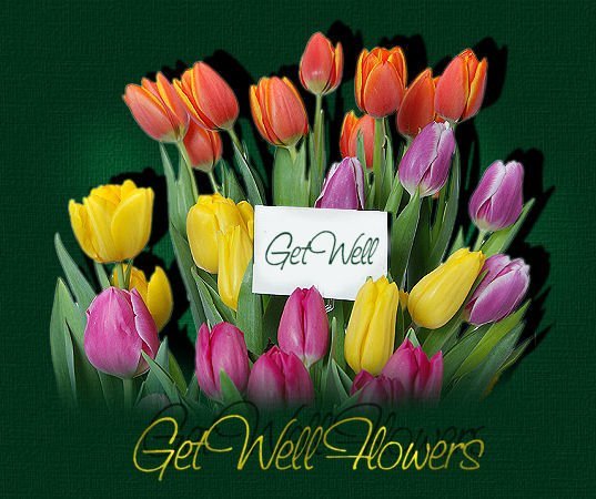 Get Well Flowers