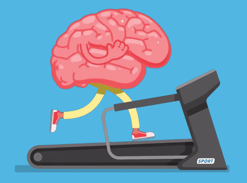 Brain exercise. Картина мозг и сердце с дубинкой. Namco Brain exercise. Ротвеллеры Мирой мозг. Funny pic Brain.